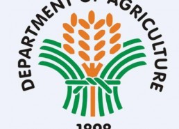 国产区资源,探索本土影视、音乐、游戏魅力之旅