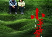 青青小草国产在线播放,国产在线播放的清新之作