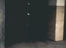 国产精www,传承与创新的中国文化瑰宝