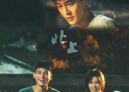 剧情国产,国破山河在